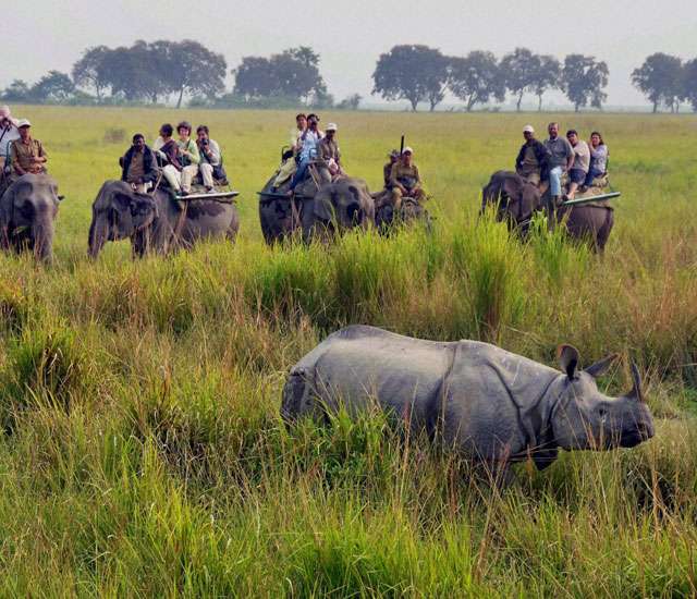 Special summer wild life tour package of Manas national park